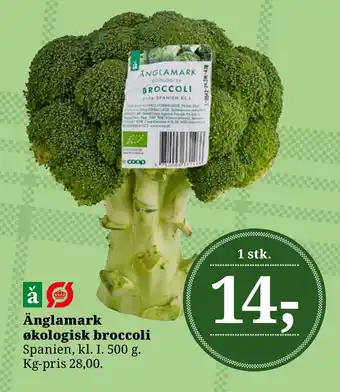 Dagli'Brugsen Änglamark økologisk broccoli tilbud