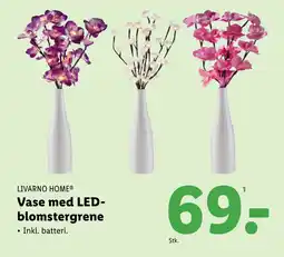 Lidl Vase med LEDblomstergrene tilbud