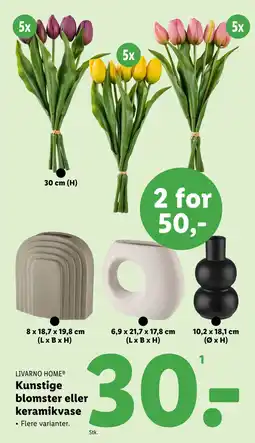 Lidl Kunstige blomster eller keramikvase tilbud