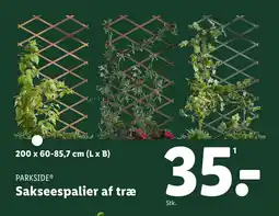 Sakseespalier af træ