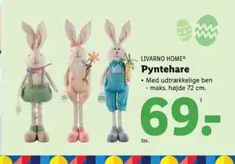 Lidl LIVARNO HOME® Pyntehare tilbud