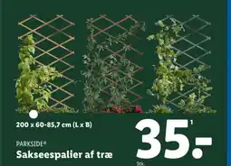 PARKSIDE® Sakseespalier af træ