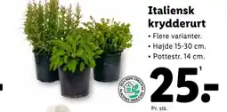 Lidl Italiensk krydderurt tilbud