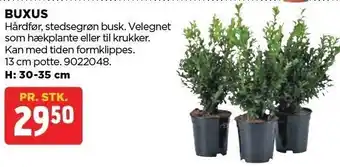 jem & fix BUXUS tilbud