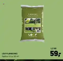 XL-BYG LEAF PLENEGRES tilbud