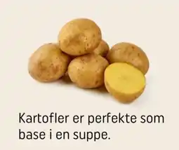 REMA 1000 Kartofler er perfekte som base i en suppe. tilbud