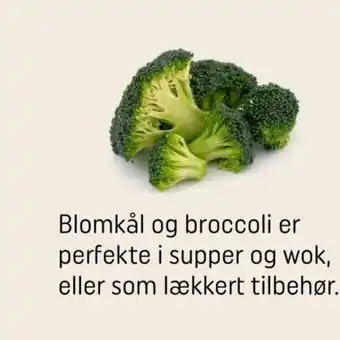 REMA 1000 Blomkål og broccoli er perfekte i supper og wok, eller som lækkert tilbehør. tilbud