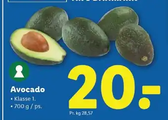 Lidl Avocado tilbud