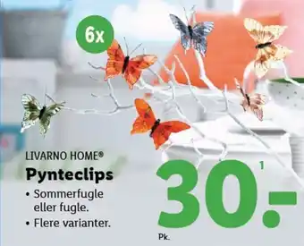 Lidl LIVARNO HOME® Pynteclips tilbud