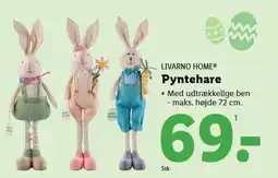 Lidl LIVARNO HOME® Pyntehare tilbud