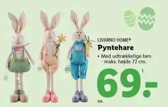 Lidl LIVARNO HOME® Pyntehare tilbud