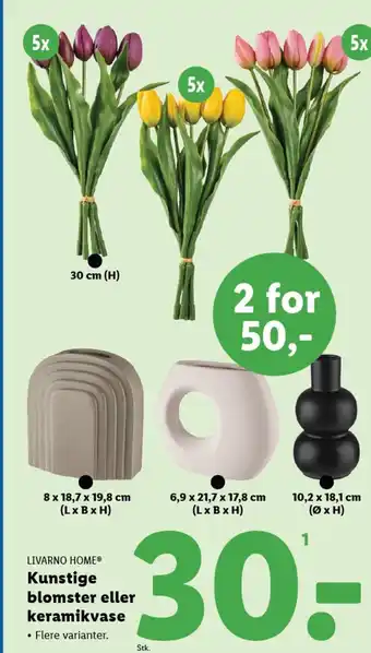 Lidl LIVARNO HOME® Kunstige blomster eller keramikvase tilbud