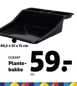 Lidl DOBAR® Plante- bakke tilbud