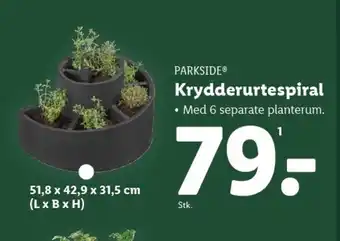 Lidl PARKSIDE® Krydderurtespiral tilbud