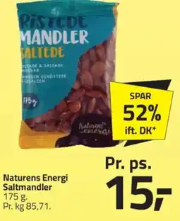 Fleggaard Naturens Energi Saltmandler tilbud