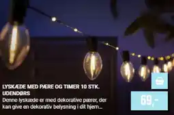 Harald Nyborg LYSKÆDE MED PÆRE OG TIMER 10 STK. UDENDØRS tilbud