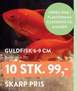 Plantorama GULDFISK tilbud