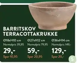 Plantorama BARRITSKOV TERRACOTTAKRUKKE tilbud