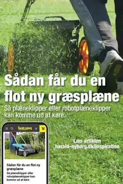 Harald Nyborg Sådan får du en flot ny græsplæne tilbud