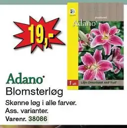 Harald Nyborg Blomsterløg tilbud