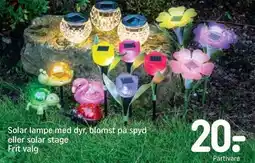 REMA 1000 Solar lampe med dyr, blomst på spyd eller solar stage tilbud