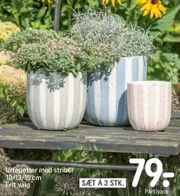 Urtepotter med striber