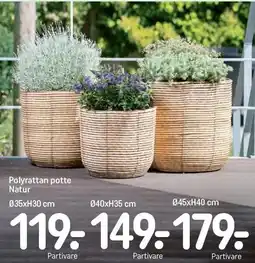 REMA 1000 Polyrattan potte tilbud