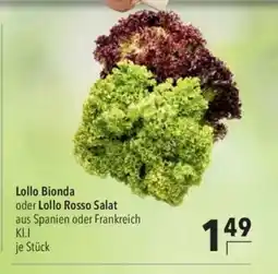 Citti Lollo Bionda oder Lollo Rosso tilbud