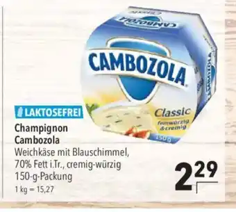 Citti Champignon Cambozola tilbud