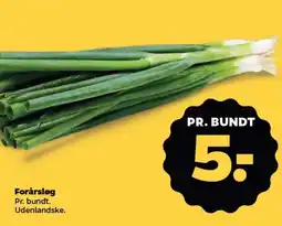 Netto Forårsløg tilbud