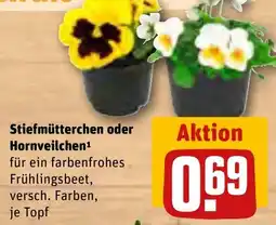 REWE Stiefmütterchen oder Hornveilchen tilbud