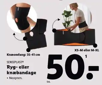 Lidl Ryg- eller knæbandage tilbud