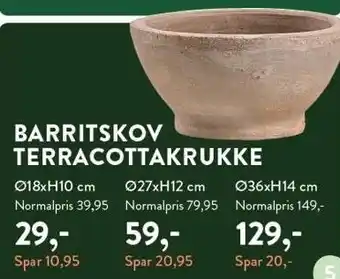 Plantorama BARRITSKOV TERRACOTTAKRUKKE tilbud