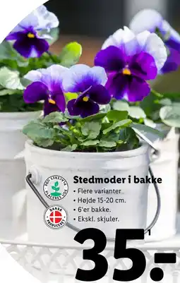 Lidl Stedmoder i bakke tilbud