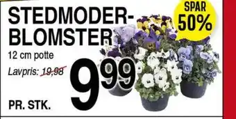 ABC Lavpris STEDMODER- BLOMSTER tilbud