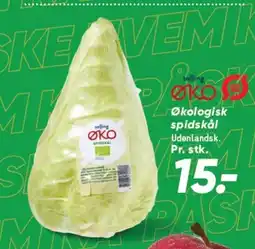 Bilka Økologisk spidskål Udenlandsk. Pr. stk. tilbud