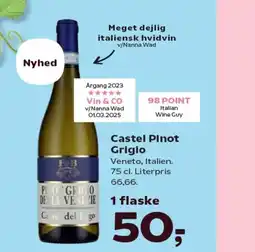 Castel Pinot Grigio