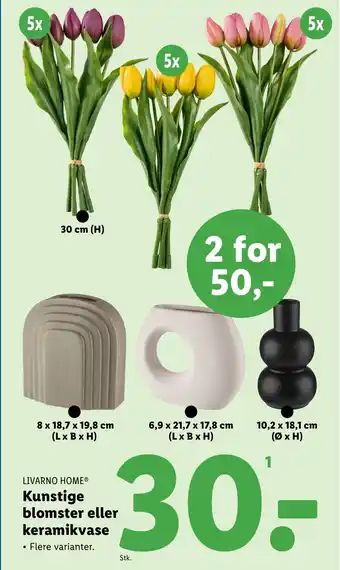 Lidl LIVARNO HOME® Kunstige blomster eller keramikvase Flere varianter. tilbud