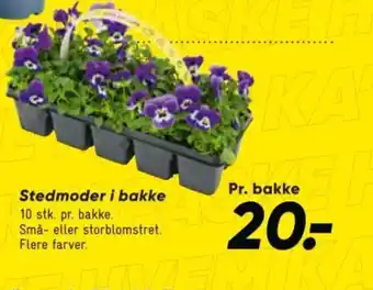 Bilka Stedmoder i bakke tilbud