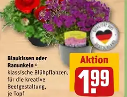 REWE Blaukissen oder ranunkeln tilbud