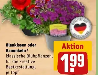 REWE Blaukissen oder ranunkeln tilbud