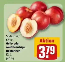 REWE Gelb- oder weißfleischige nektarinen tilbud