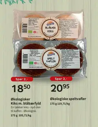 Økologisker Kiks m. blåbærfyld
