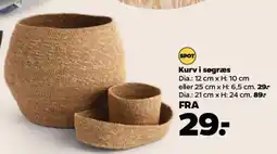 Netto Kurv i søgræs tilbud