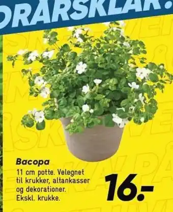 Bilka Bacopa tilbud