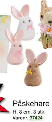 Påskehare
