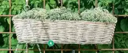 REMA 1000 Altankasse i pil White wash 60x14x14 cm tilbud