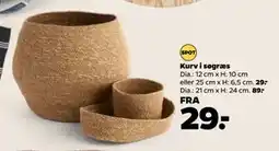 Netto Kurv i søgræs tilbud