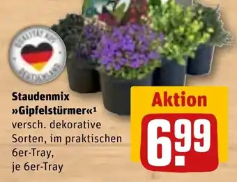 REWE DE Staudenmix gipfelstürmer tilbud