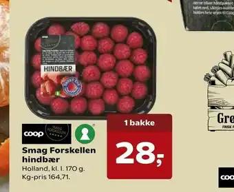 Dagli'Brugsen Smag Forskellen hindbær tilbud